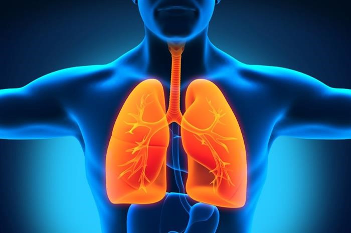 Respiratory System Profile (1)